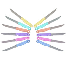 2551 Multipurpose Top Kitchen Knife for Home and Restaurant (12Pcs Set) DeoDap