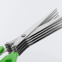 1563 Multifunction Vegetable Stainless Steel Herbs Scissor with 5 Blades DeoDap